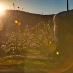 Glamping El Jardin De Delizias Valle Del Jerte (adults Only) 럭셔리텐트 Casas del Castañar