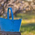럭셔리텐트 Glamping El Jardin De Delizias Valle Del Jerte (adults Only) Casas del Castañar