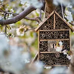 Glamping El Jardin De Delizias Valle Del Jerte (adults Only) Casas del Castañar
