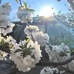 Glamping El Jardin De Delizias Valle Del Jerte (adults Only) ラグジュアリーテント Casas del Castañar