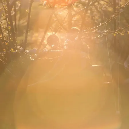 Tente de luxe Glamping El Jardin De Delizias Valle Del Jerte (adults Only)