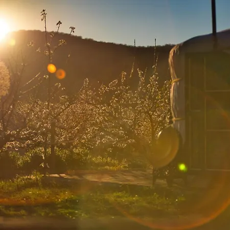 Glamping El Jardin De Delizias Valle Del Jerte (adults Only) Luxury tent Casas del Castanar