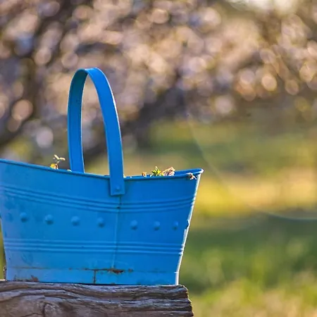 Tente de luxe Glamping El Jardin De Delizias Valle Del Jerte (adults Only) Casas del Castañar