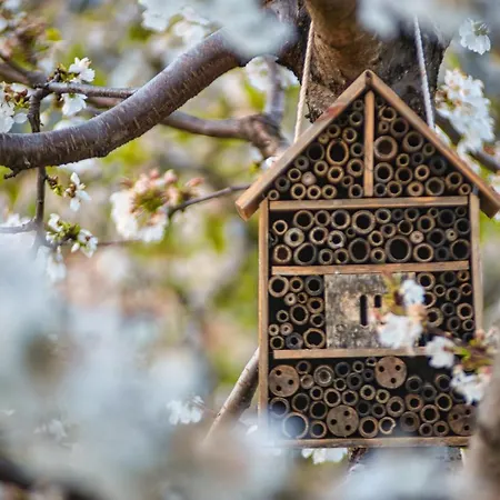 Glamping El Jardín De Delizias Valle Del Jerte Casas del Castañar