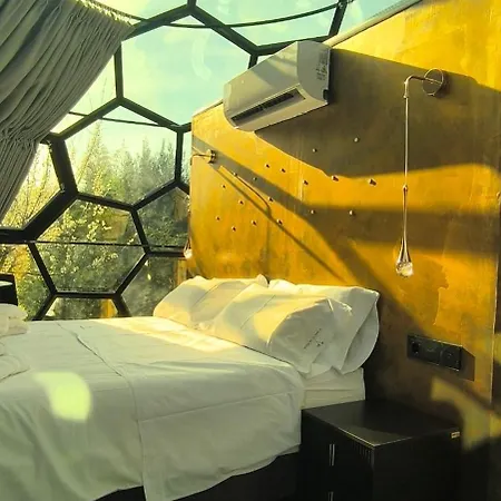 Glamping El Jardin De Delizias Valle Del Jerte (adults Only) 럭셔리텐트 *