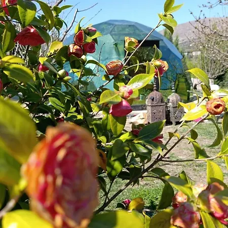 Glamping El Jardin De Delizias Valle Del Jerte (adults Only) Casas del Castanar