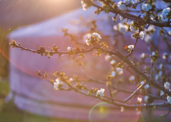 Glamping El Jardin De Delizias Valle Del Jerte (adults Only) * Casas del Castañar