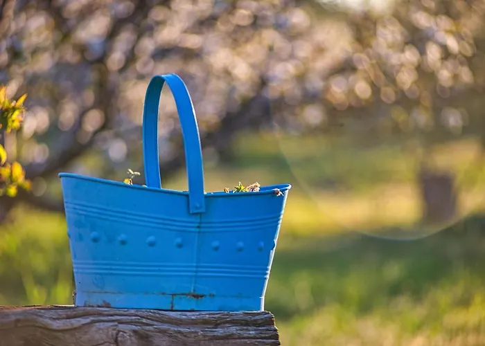 Campo de lujo Glamping El Jardín De Delizias Valle Del Jerte Casas del Castañar