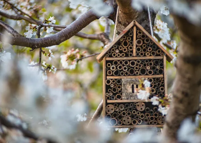 Glamping El Jardín De Delizias Valle Del Jerte Casas del Castañar