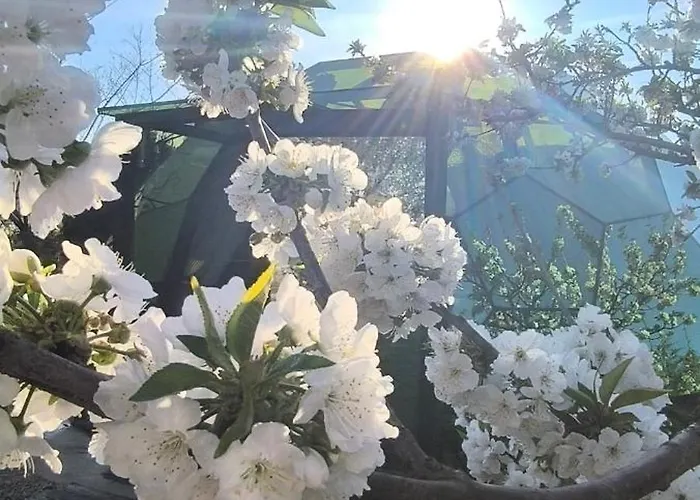 Glamping El Jardin De Delizias Valle Del Jerte (adults Only) Luxury tent Casas del Castanar