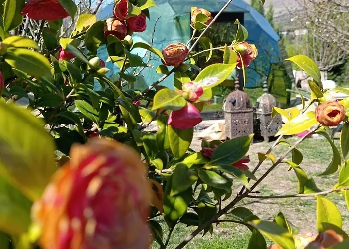 Glamping El Jardin De Delizias Valle Del Jerte (adults Only) Casas del Castanar